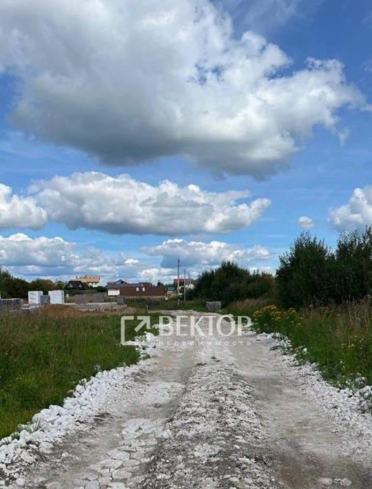 земля р-н Красносельский д Большое Андрейково Боровиковское с/пос, 12 фото 2