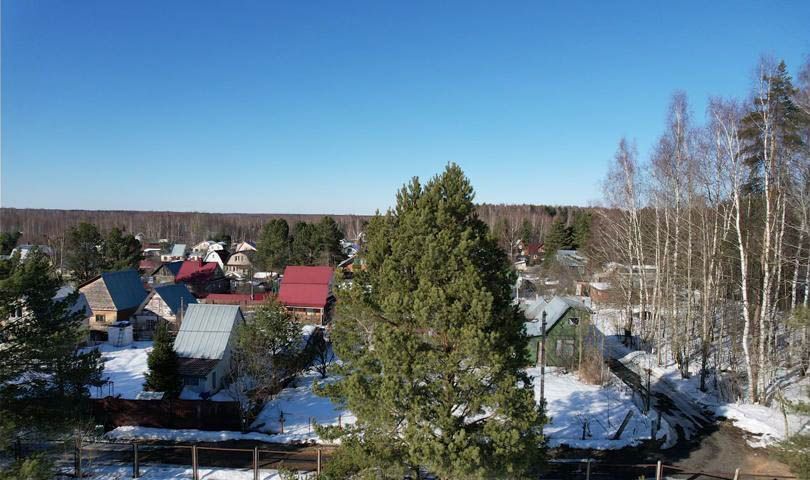 земля городской округ Дмитровский д Голявино 38 км, Деденево, Дмитровское шоссе фото 1