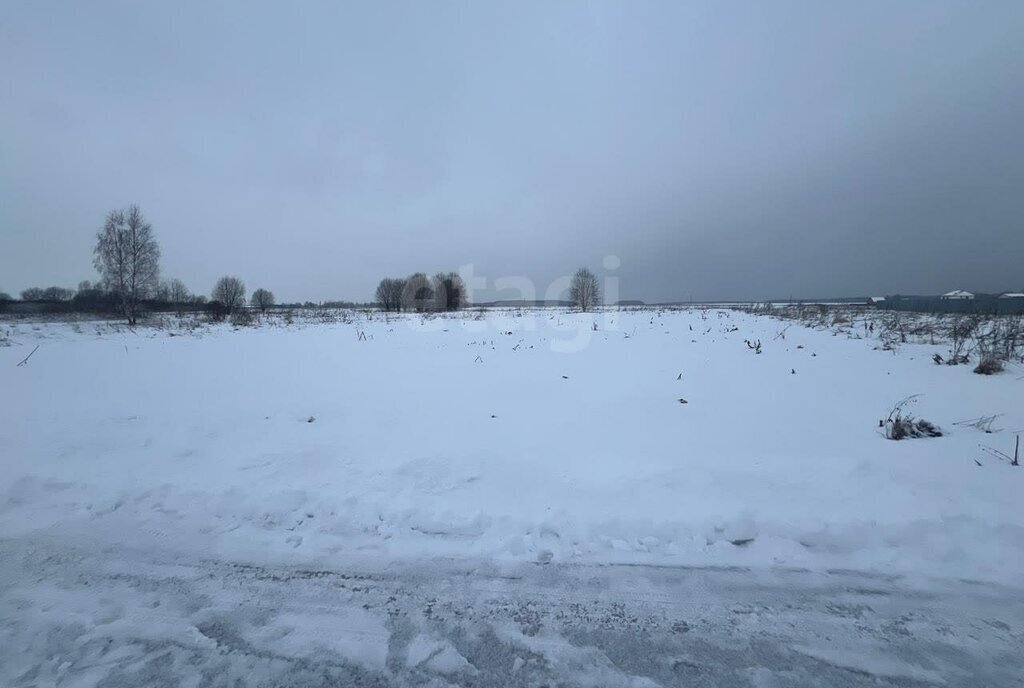 земля городской округ Дмитровский д Тимофеево фото 2