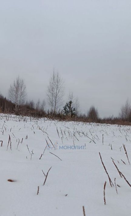 земля р-н Богородский д Сысоевка ул Центральная фото 3