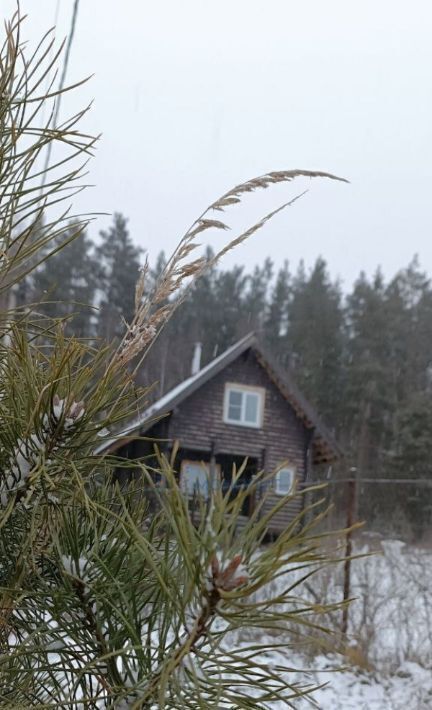 земля р-н Богородский д Непецино ул Лесная фото 3