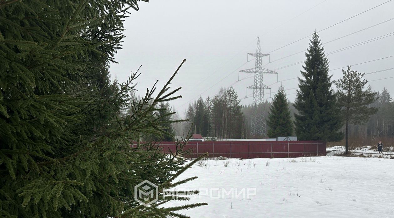 земля р-н Выборгский п Первомайское ул Лесная пос, Надежда-3 СНТ фото 3