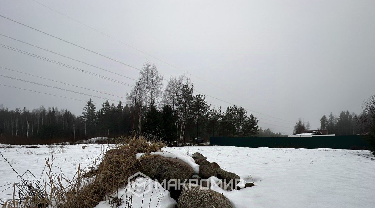 земля р-н Выборгский п Первомайское ул Лесная пос, Надежда-3 СНТ фото 2