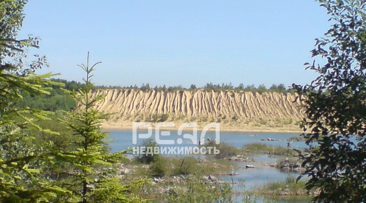 земля р-н Гатчинский Новые Борницы кп фото 3