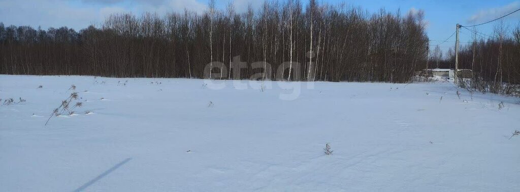 земля р-н Ленинский д Струково городской округ Тула фото 2