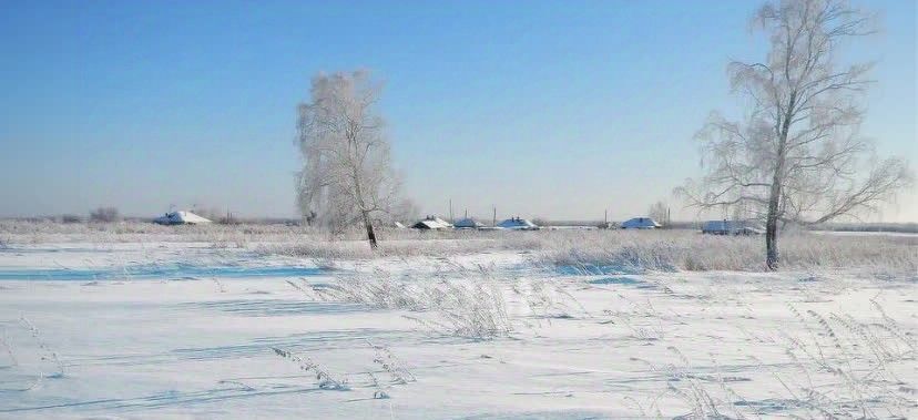 земля р-н Тукаевский д Азьмушкино ул. З. Закирова фото 1