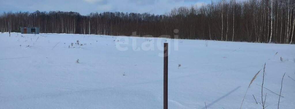 земля р-н Ленинский д Струково городской округ Тула фото 6