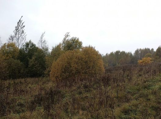 офис городской округ Дмитровский д Бестужево фото 2