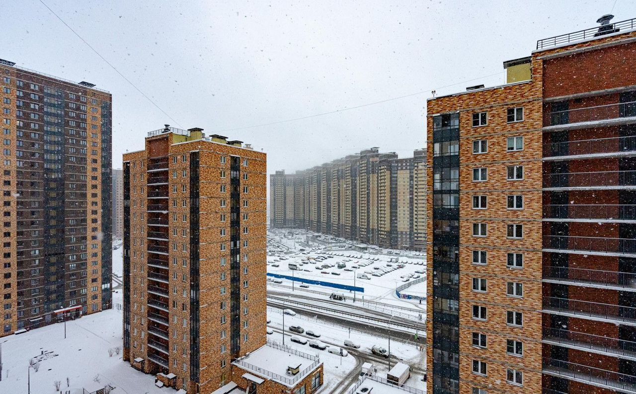 квартира г Санкт-Петербург п Парголово ул Заречная 42к/2 метро Парнас фото 29