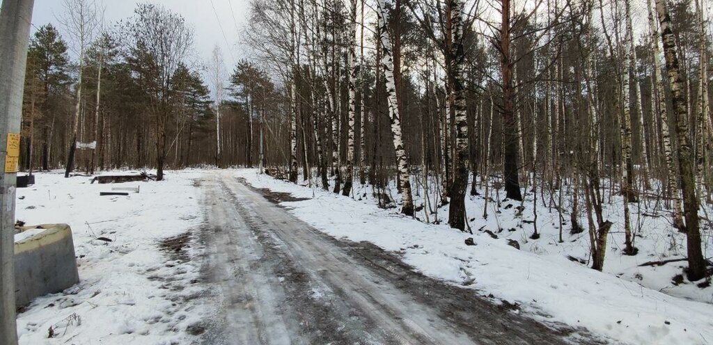 земля р-н Вологодский снт Радужное Тоншаловское сельское поселение, Аммофос-1 фото 5