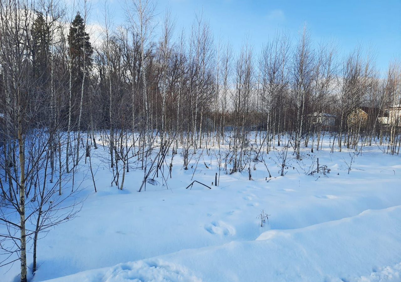 земля городской округ Пушкинский п Софрино 30 км, коттеджный пос. Бортнево-5, ул. Суворова, 17, Ярославское шоссе фото 1