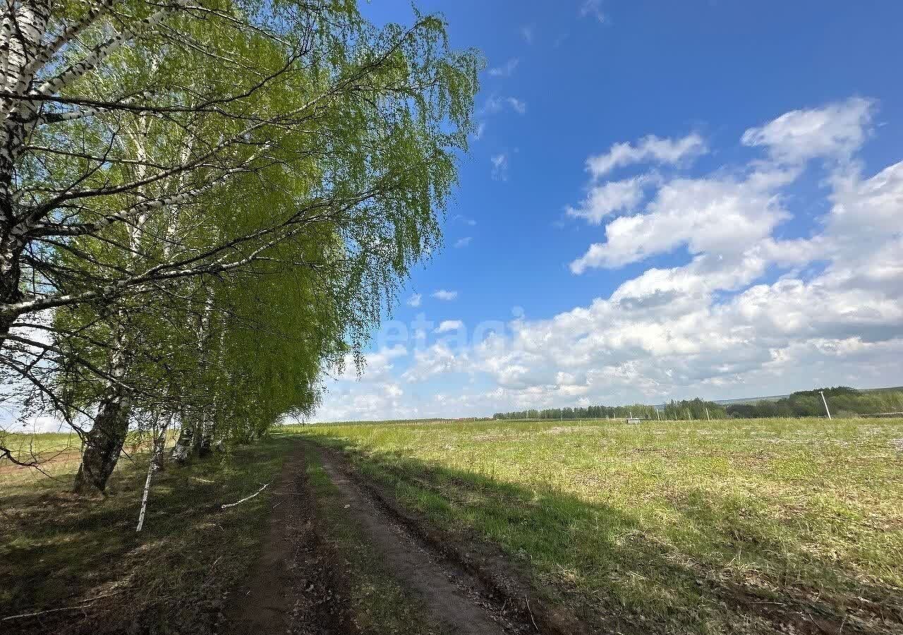 земля р-н Богородский д Килелей Буревестник фото 2