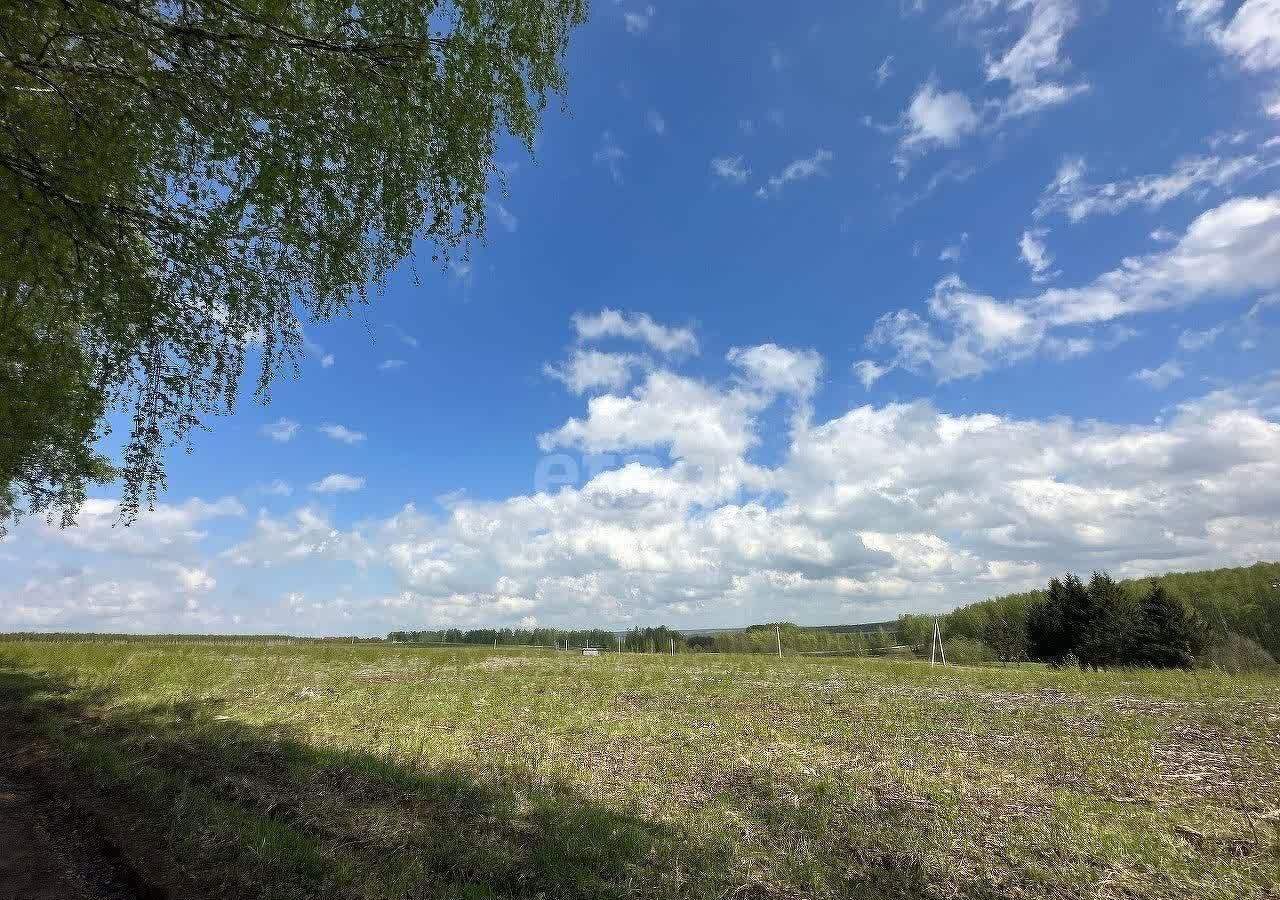 земля р-н Богородский д Килелей Буревестник фото 1