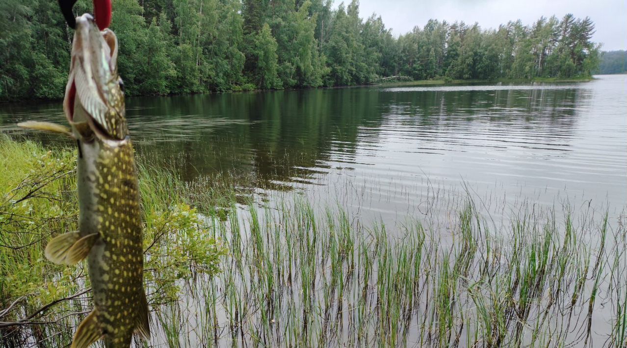 земля р-н Жуковский с Тарутино сельское поселение Село Тарутино фото 9