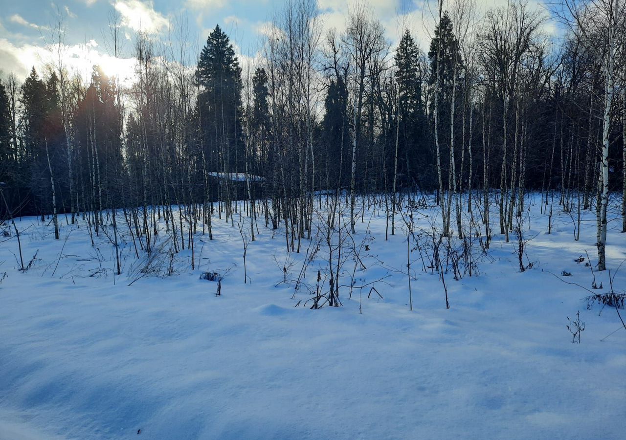 земля городской округ Пушкинский п Софрино 30 км, коттеджный пос. Бортнево-5, ул. Суворова, 17, Ярославское шоссе фото 17