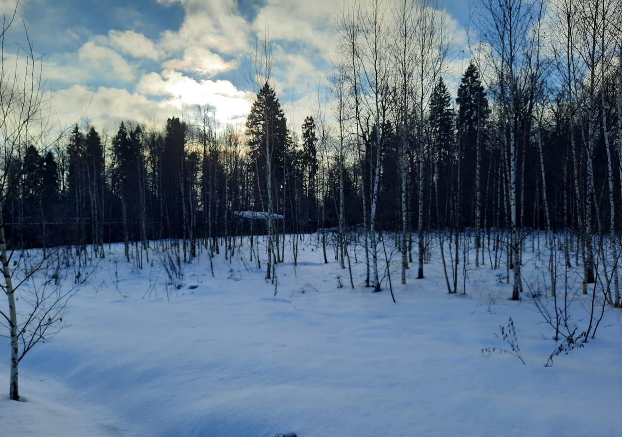 земля городской округ Пушкинский п Софрино 30 км, коттеджный пос. Бортнево-5, ул. Суворова, 17, Ярославское шоссе фото 18