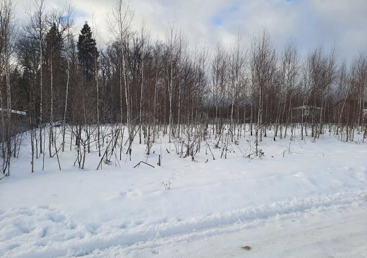 земля городской округ Пушкинский п Софрино 30 км, коттеджный пос. Бортнево-5, ул. Суворова, 17, Ярославское шоссе фото 21