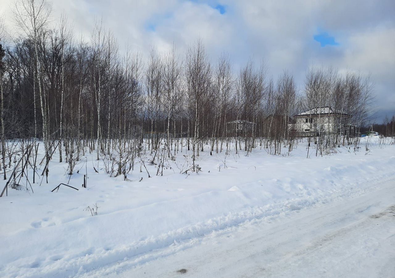 земля городской округ Пушкинский п Софрино 30 км, коттеджный пос. Бортнево-5, ул. Суворова, 17, Ярославское шоссе фото 24