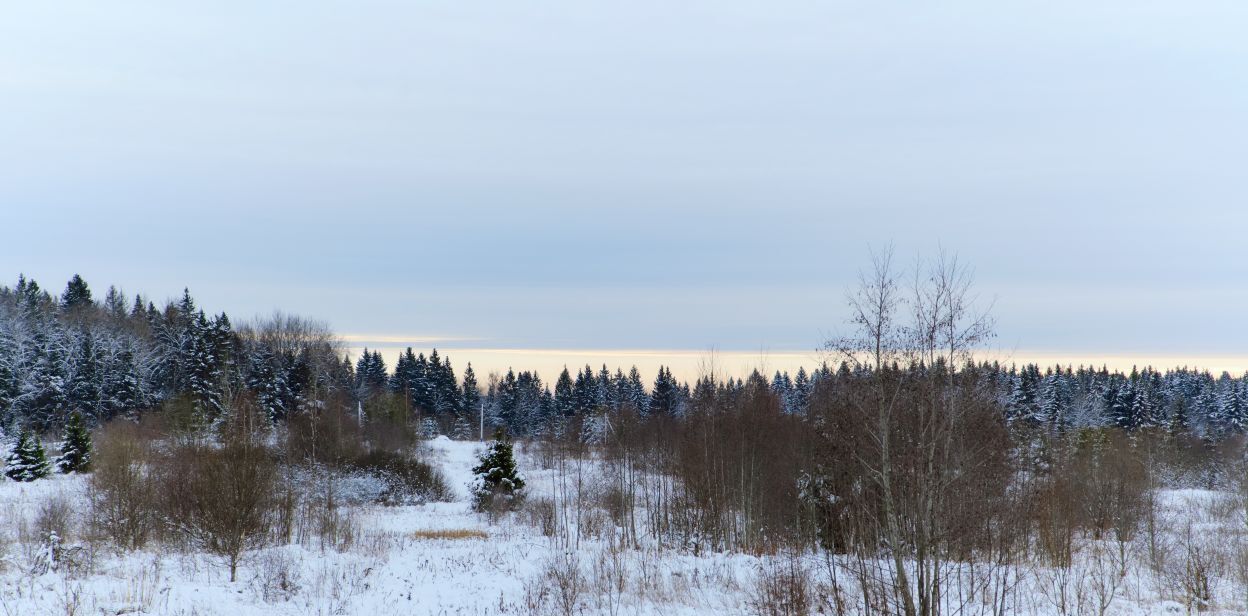 земля городской округ Клин д Марфино б-р Центральный 45 фото 8