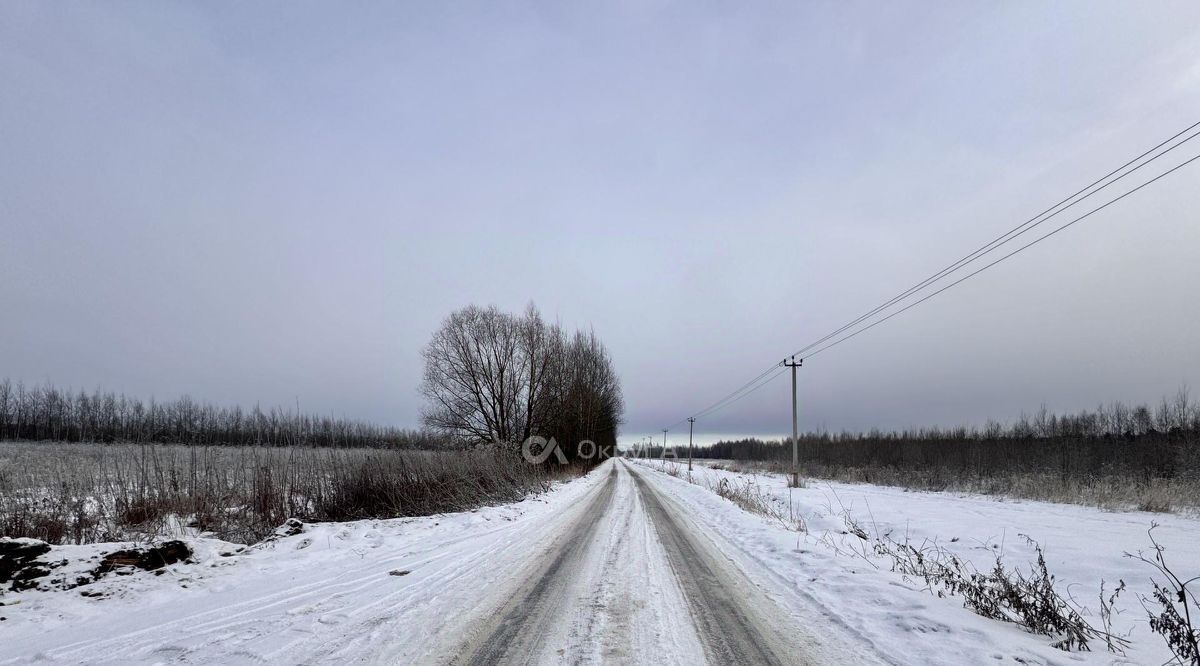 земля городской округ Богородский г Ногинск снт Тихие Зори Железнодорожная, 145 фото 30