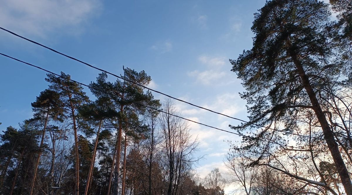 квартира г Москва метро Медведково ул Стартовая 11 муниципальный округ Лосиноостровский фото 22