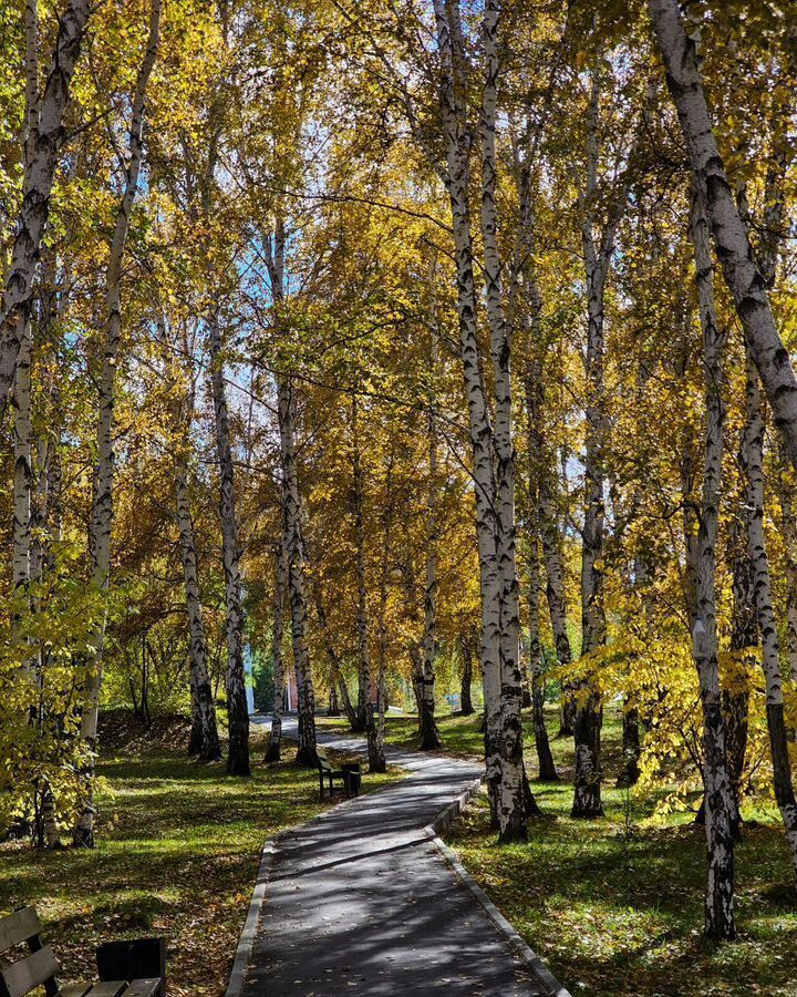 квартира г Иркутск мкр Юбилейный р-н Свердловский 82 фото 9