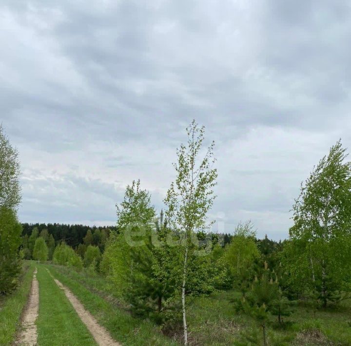 земля р-н Кемеровский д Жургавань ул Центральная фото 2