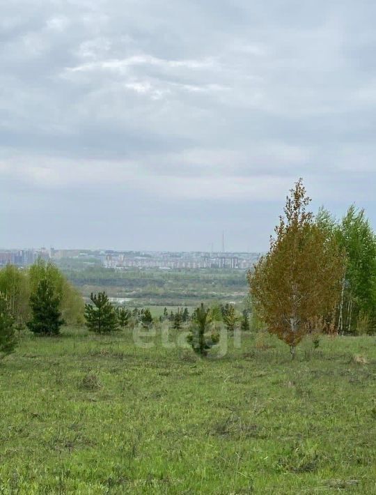 земля р-н Кемеровский д Жургавань ул Центральная фото 4