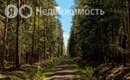 квартира г Санкт-Петербург ЖК «Полис Новоселье» городской посёлок Новоселье фото 6