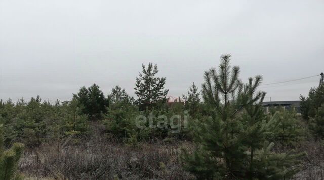 д Духовец ул Победы Моковский сельсовет фото