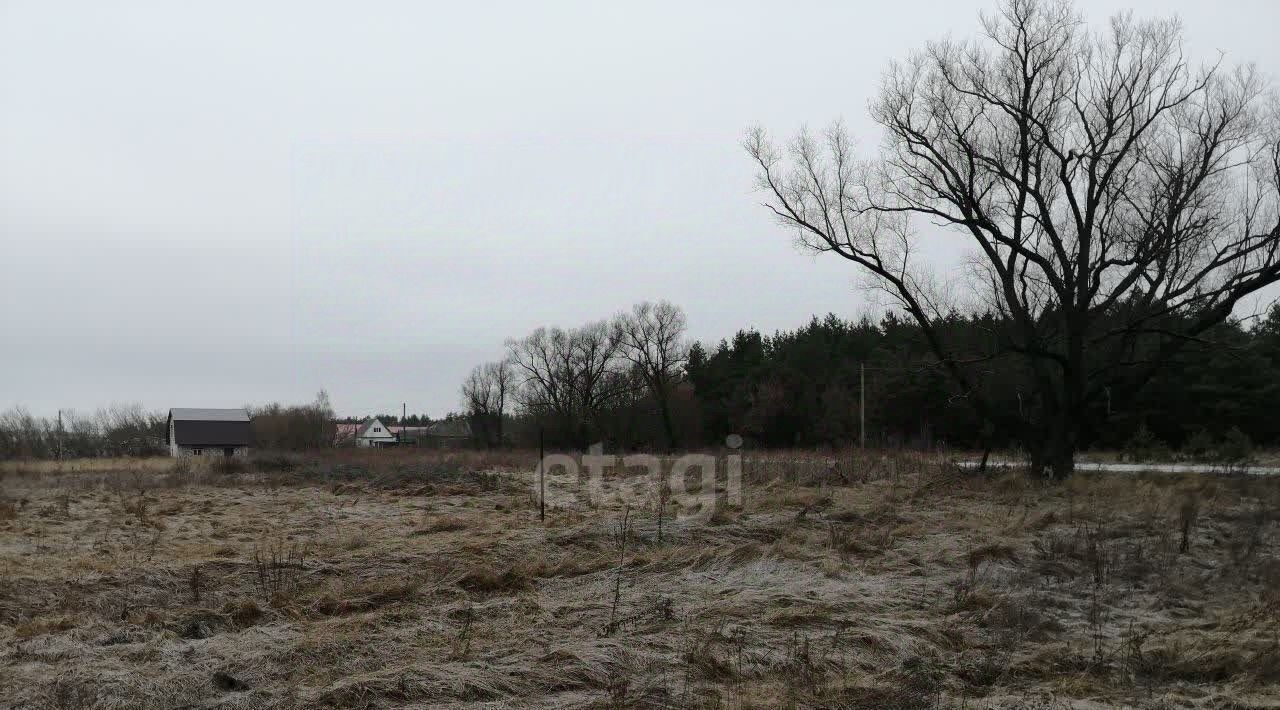 земля р-н Курский д Жеребцово ул Елецкая Полянский сельсовет фото 12