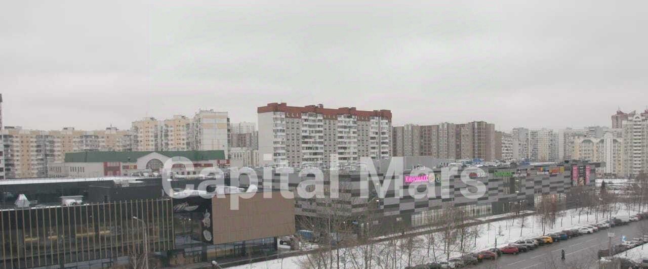 квартира г Москва метро Жулебино ул Авиаконструктора Миля 4к/1 фото 6