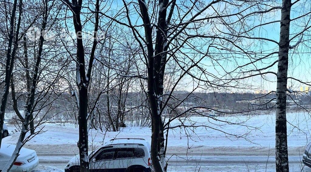 квартира г Нижний Новгород р-н Нижегородский Верхние Печёры Горьковская ул Германа Лопатина 14 фото 14