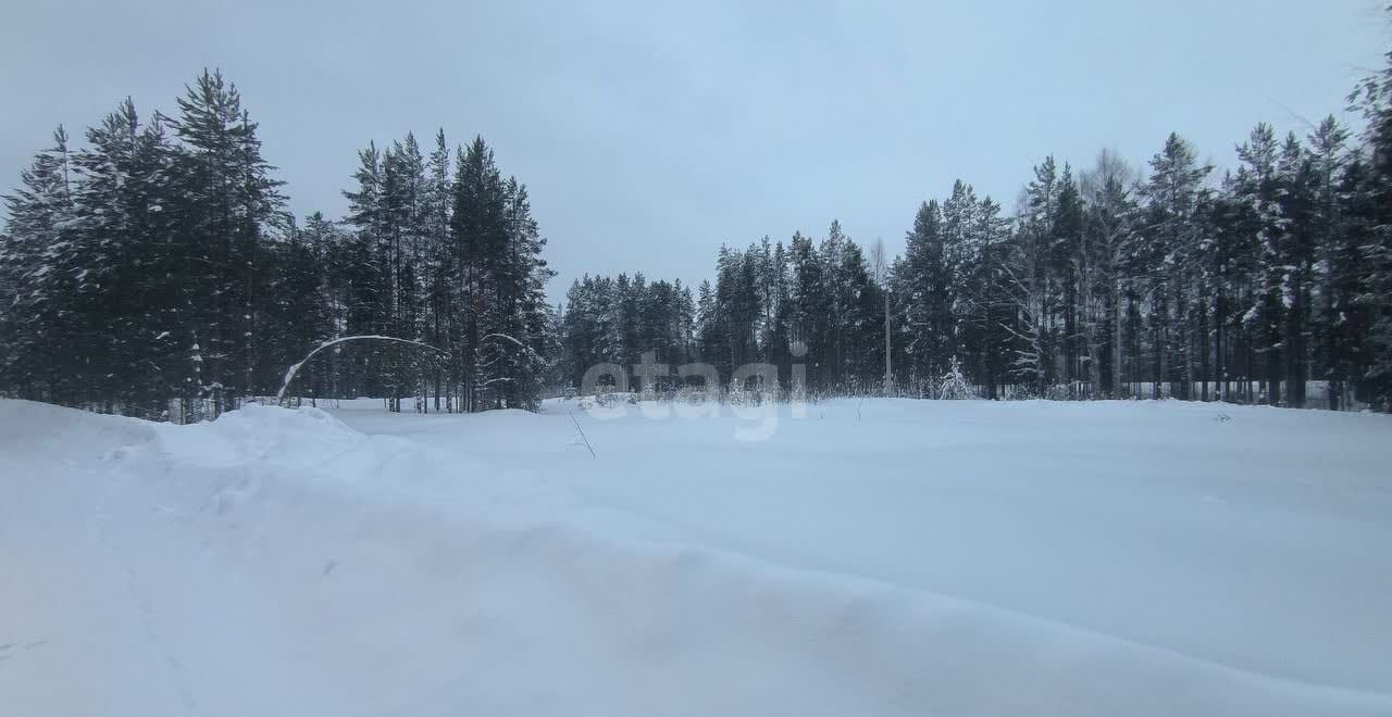 земля г Сосногорск д Пожня ул Лесная муниципальный р-н Сосногорск, муниципальное образование Сосногорск фото 1