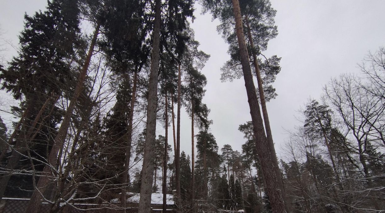 дом городской округ Одинцовский д Дунино 1/1 фото 27