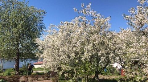 земля п им Свердлова Щербинка ул Щербинка 17 Свердловское городское поселение фото 15