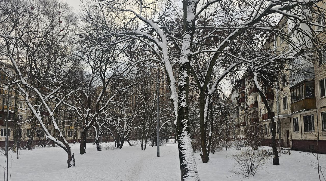 квартира г Санкт-Петербург метро Московская пр-кт Юрия Гагарина 26к/6 округ Гагаринское фото 19