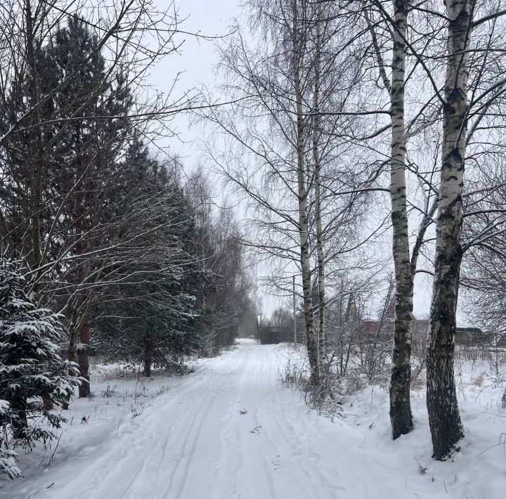 земля городской округ Волоколамский д Поповкино ул Воздвиженка фото 4