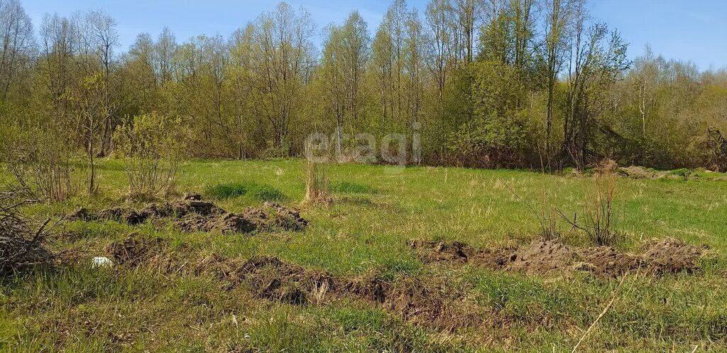 земля р-н Волховский д Черноушево Кисельнинское сельское поселение фото 1