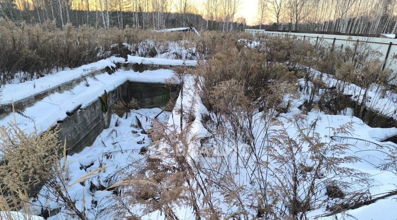 земля р-н Сеченовский д Кикинка Бор городской округ фото 2