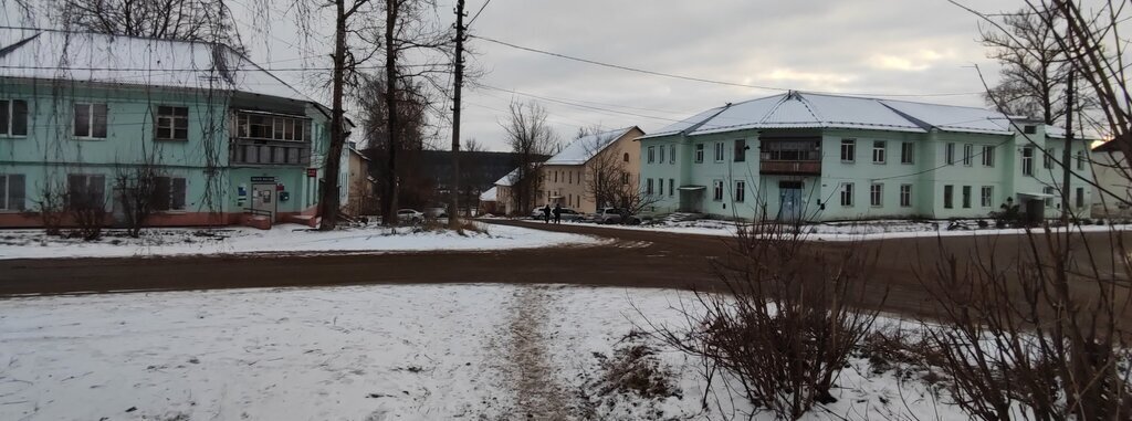 комната р-н Алексинский г Алексин ул Трудовые Резервы 19/32 фото 4