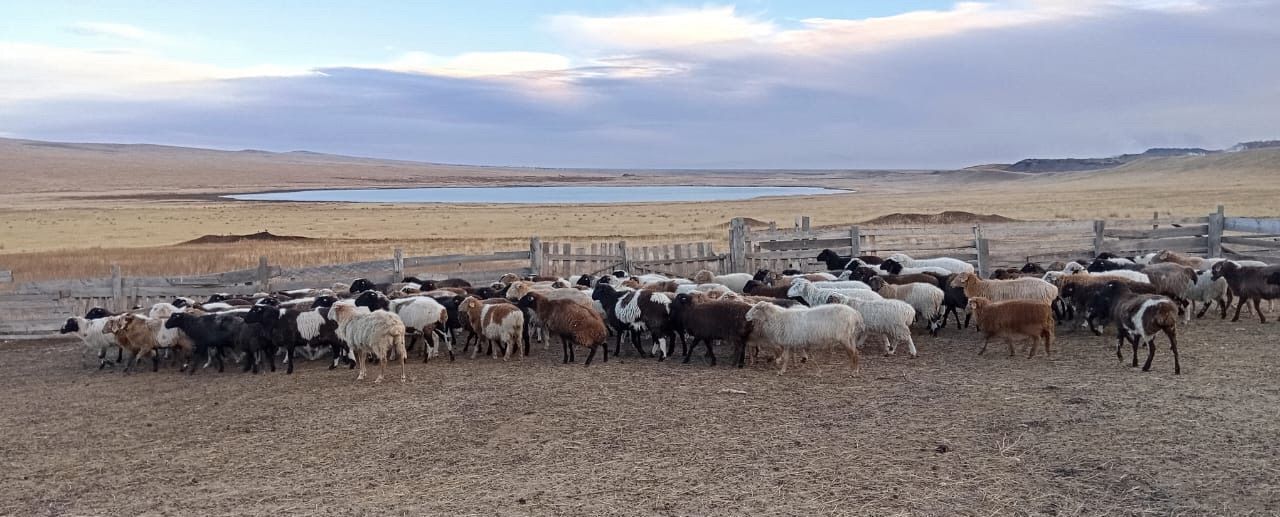 земля р-н Усть-Абаканский д Курганная ул Железнодорожная Черногорск фото 2