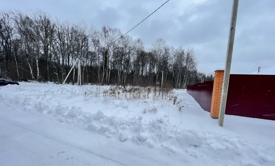 земля городской округ Ступино с Разиньково ул Лесная 52 км, Михнево, Новокаширское шоссе фото 4