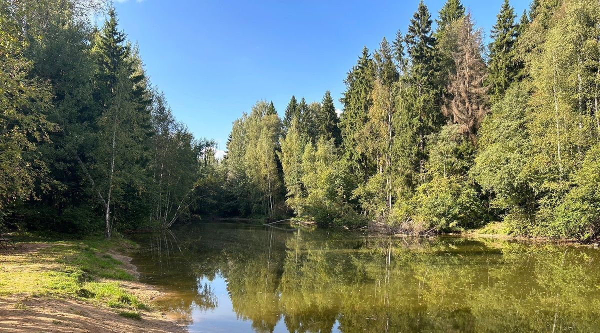 земля городской округ Сергиево-Посадский ул. Пятая, 146, Солнечное СНТ фото 1