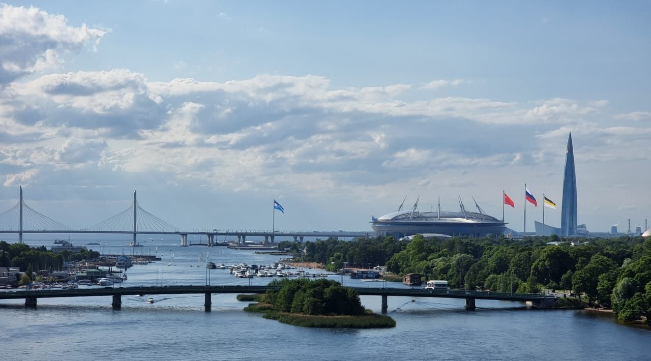 квартира г Санкт-Петербург метро Чкаловская ул Ждановская 45 округ Петровский, Петроградка фото 2