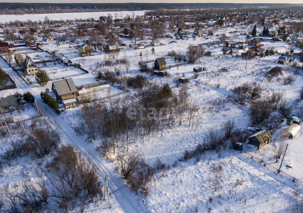 земля р-н Колыванский рп Колывань снт Ежевичка фото 5