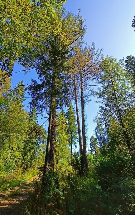 земля городской округ Одинцовский территориальное управление Ершовское фото 9