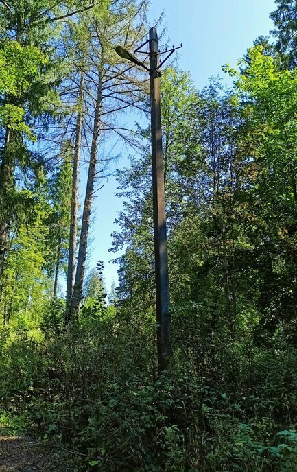 земля городской округ Одинцовский территориальное управление Ершовское фото 10