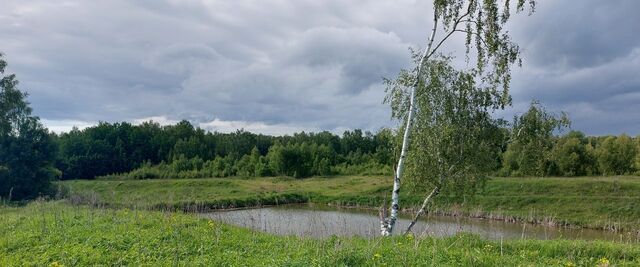 офис д Петрищево Страховское муниципальное образование фото