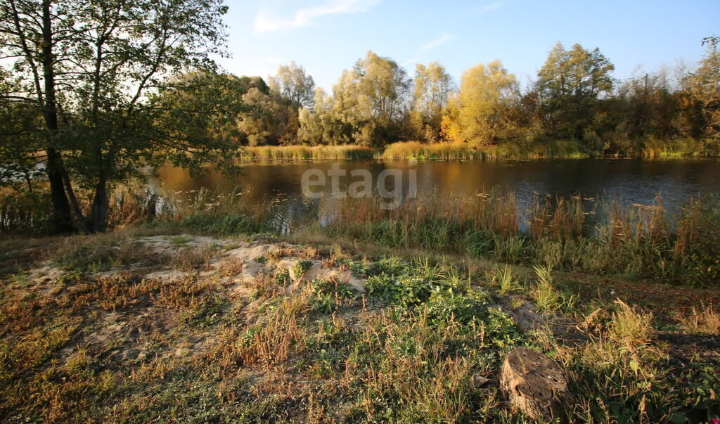 земля р-н Рамонский д Репное ул Солнечная фото 3